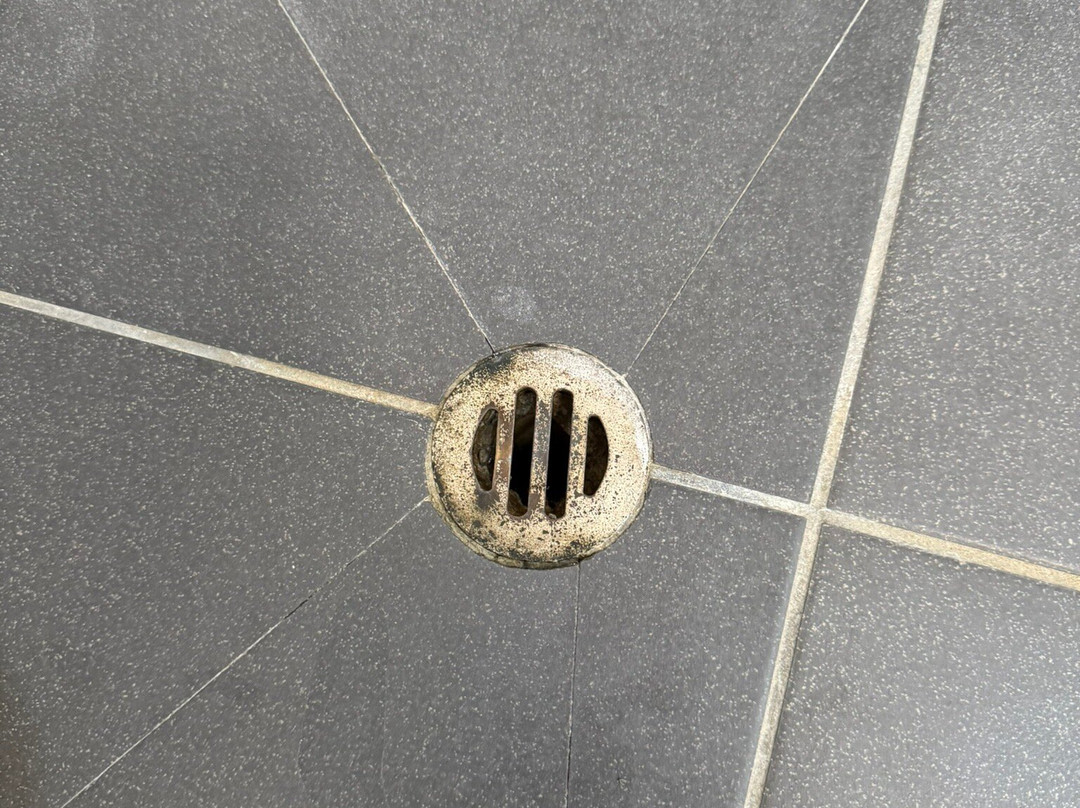 The Summit Apartments主图