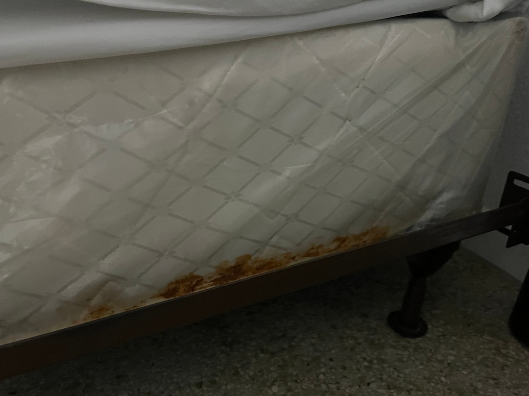 Green Seas Motel主图