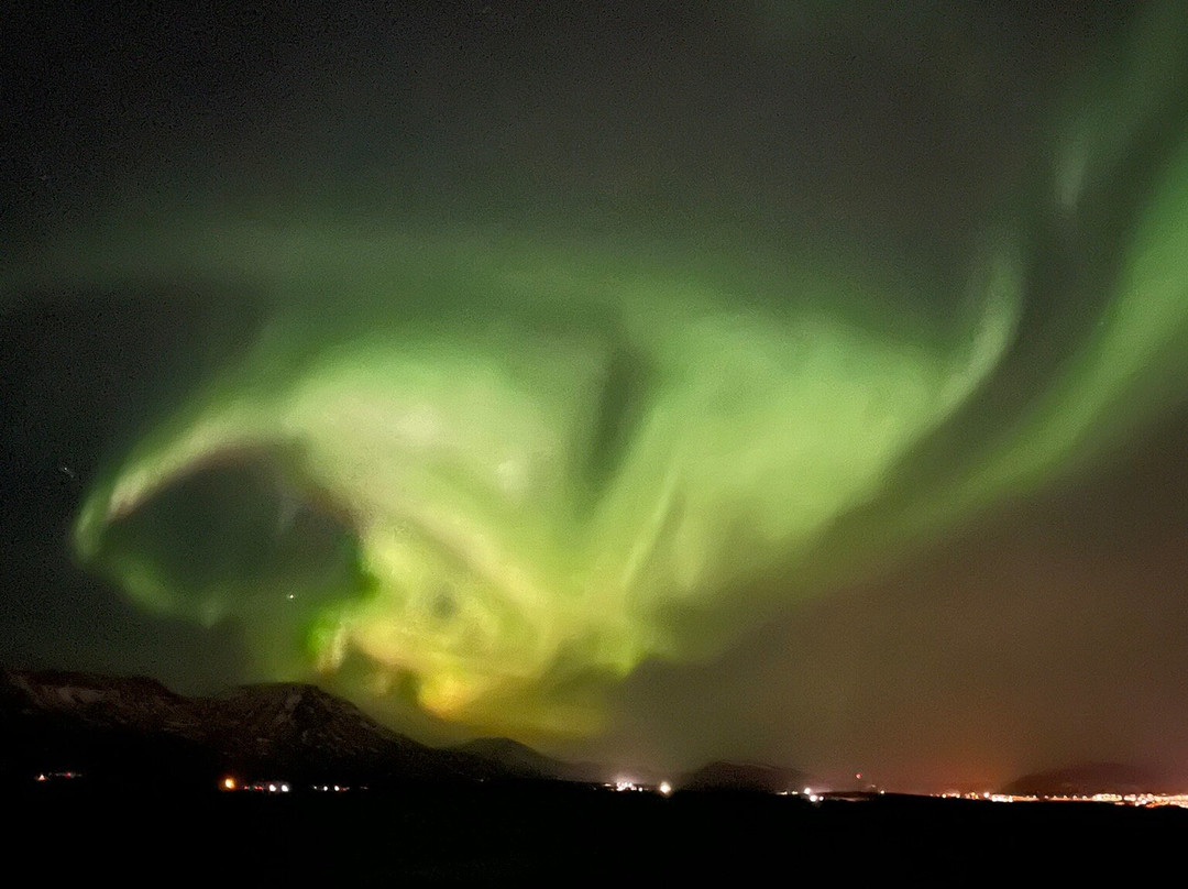 Elding Adventure At Sea - Reykjavik-雷克雅未克必去景点