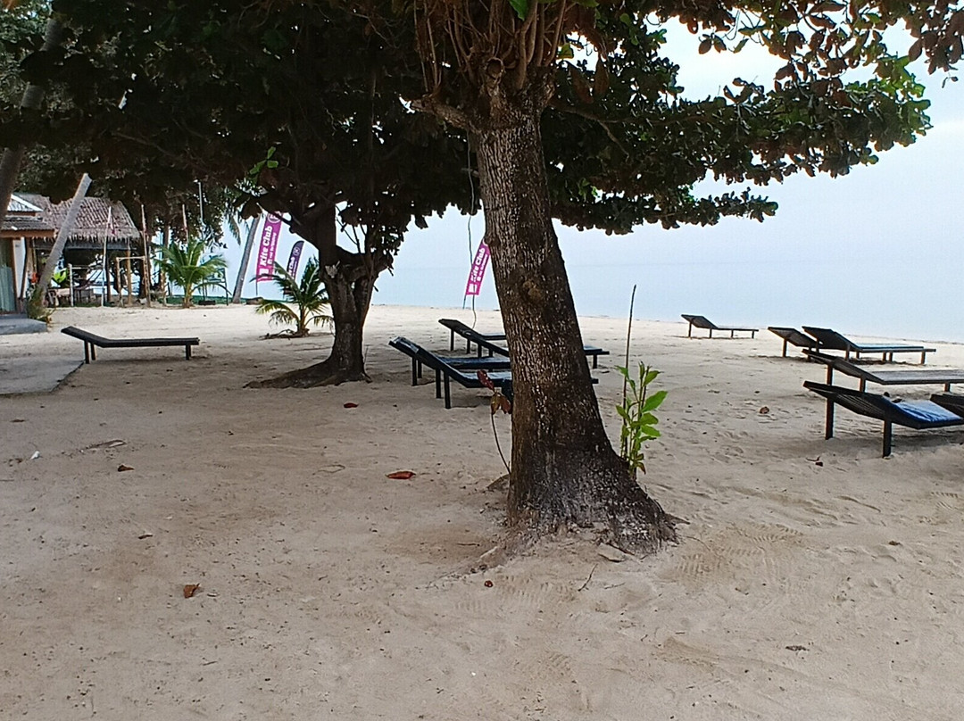 大神田海滩别墅度假村主图