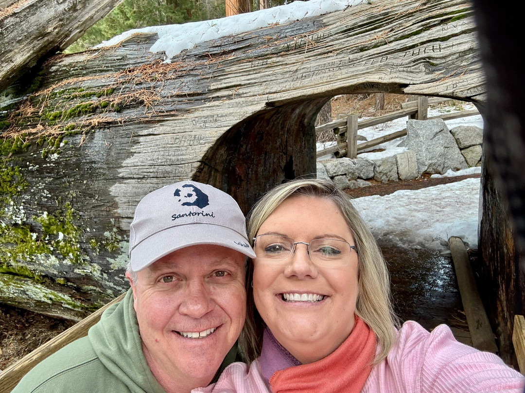 Tunnel Log-红杉&国王峡谷国家公园必去景点