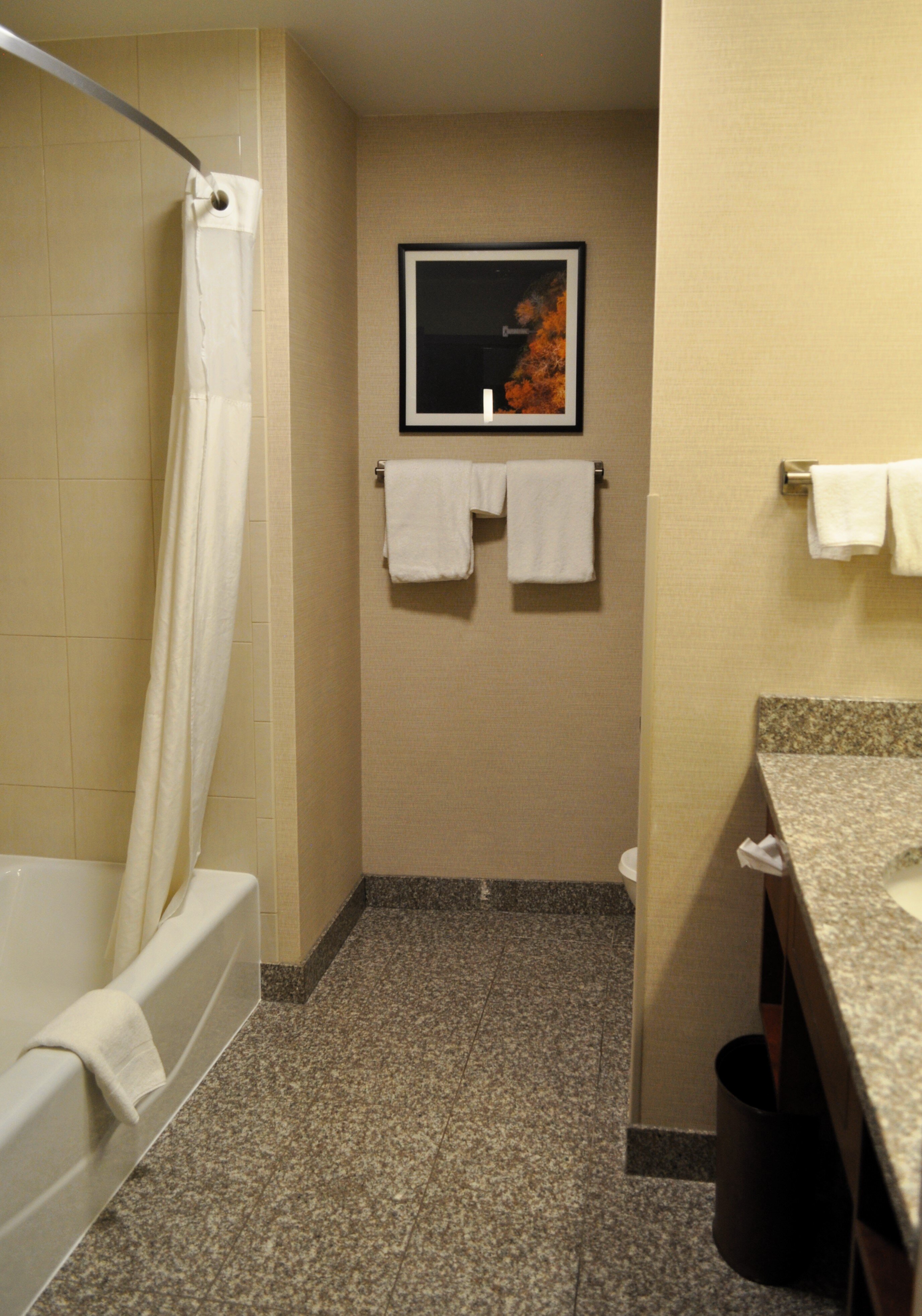 Drury Plaza Hotel Mt. Vernon-浴室
