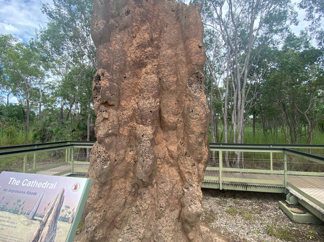 Magnetic Termite Mounds景点图片