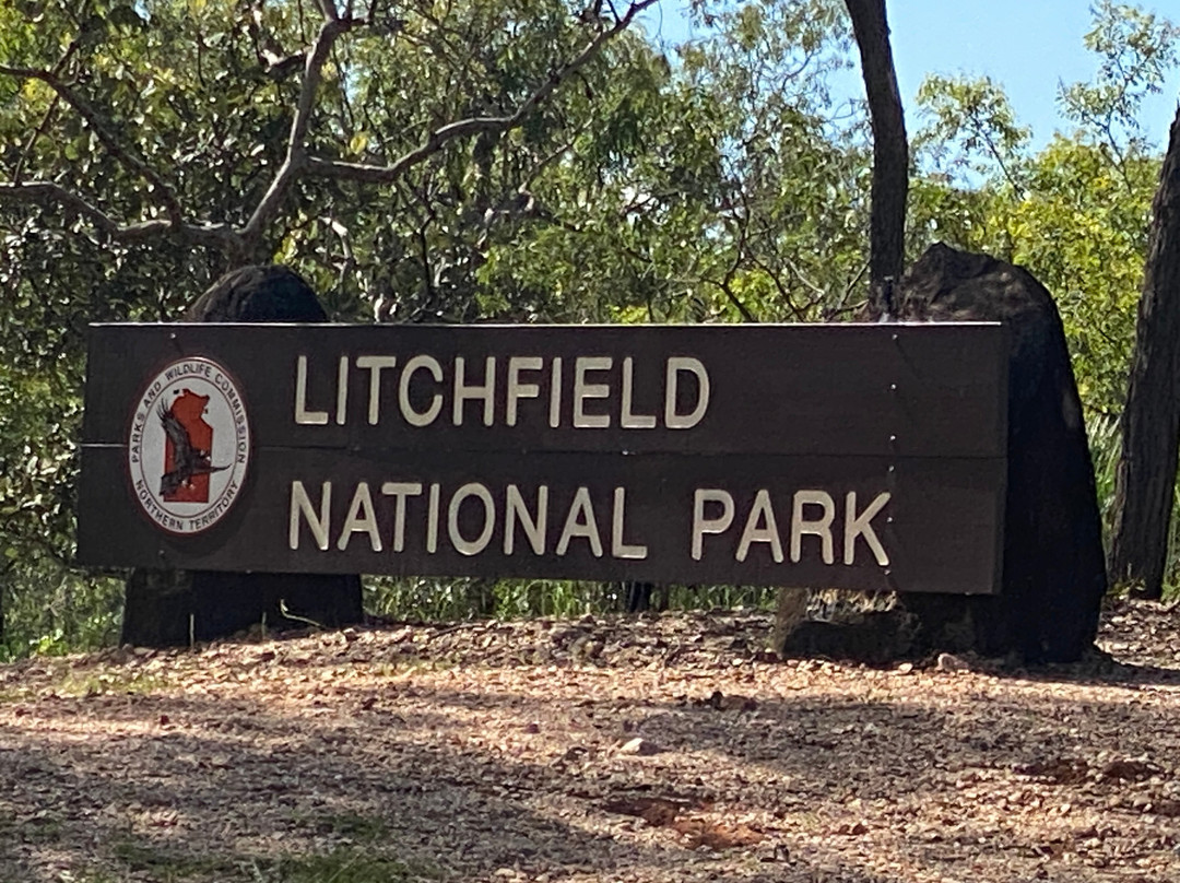 Litchfield National Park-达尔文市必去景点