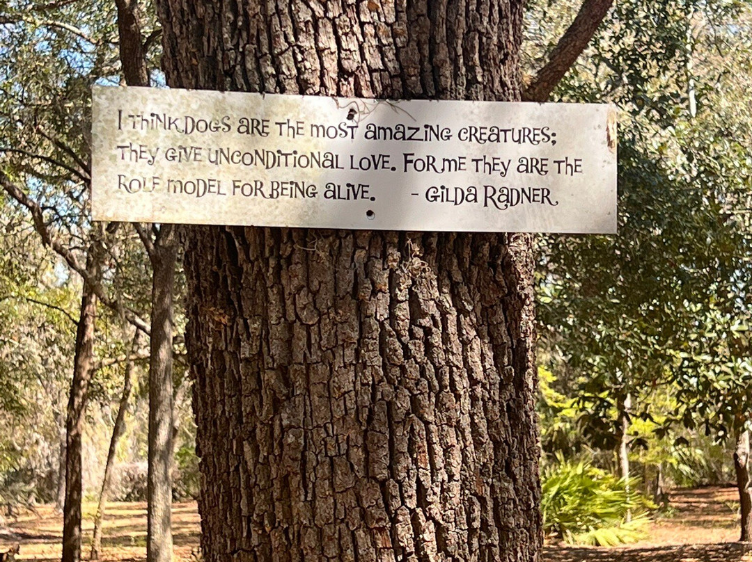 Bark Central Dog Park-因弗内斯必去景点