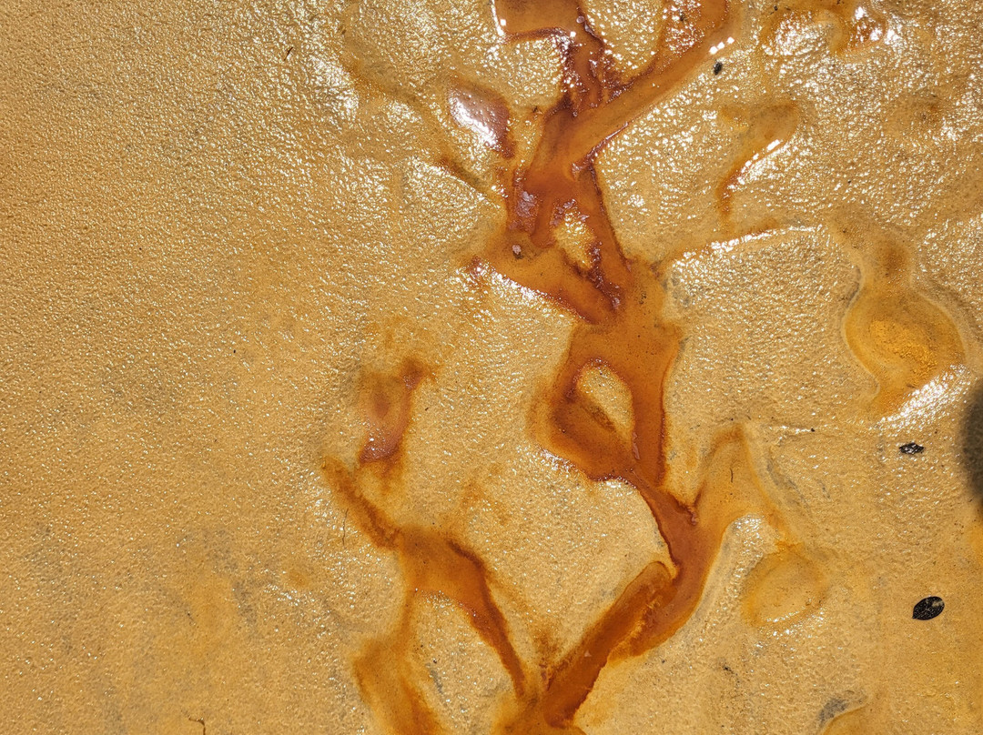 Ghiacciaio Di Sale Di Makola-Pointe Noire必去景点