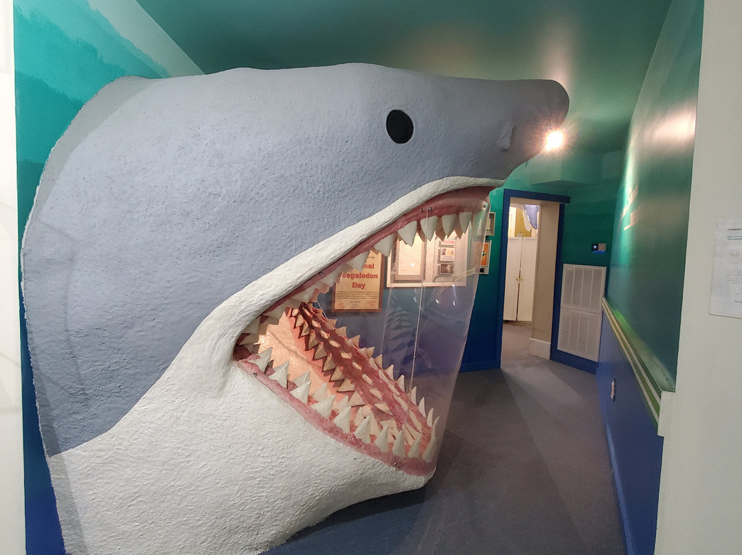 Aurora Fossil Museum景点图片