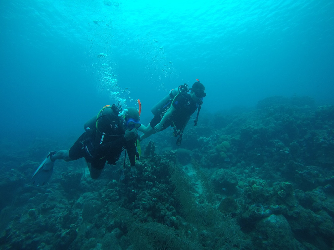 JADS Dive Center景点图片