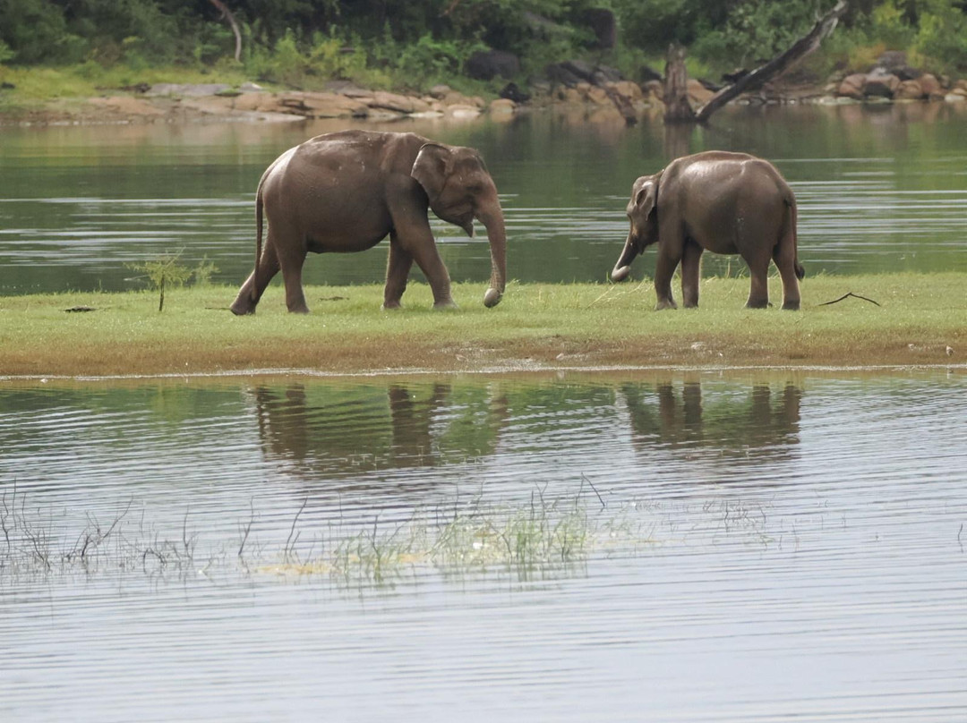 Ceylon Culture And Nature景点图片