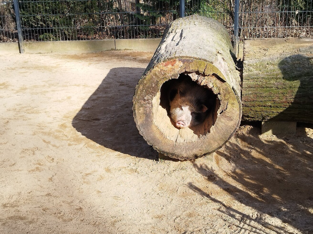 Tierpark Hirschfeld-Hirschfeld必去景点