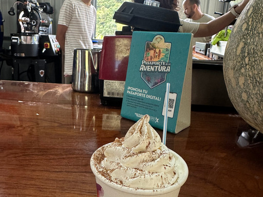 Sofrito Tours-波多黎各必去景点