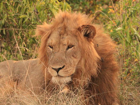 Frena Adventures-吉佳利必去景点