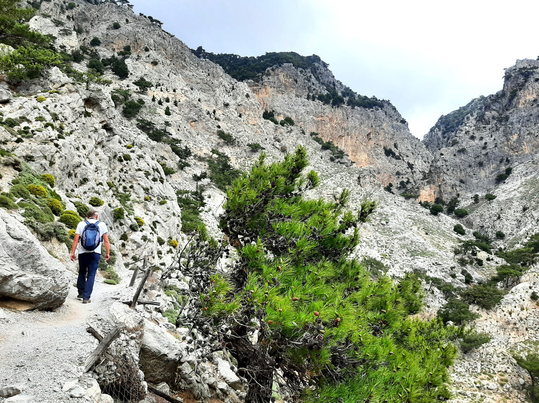 Rouvas Gorge (Agiou Nikolaou)-Zaros必去景点