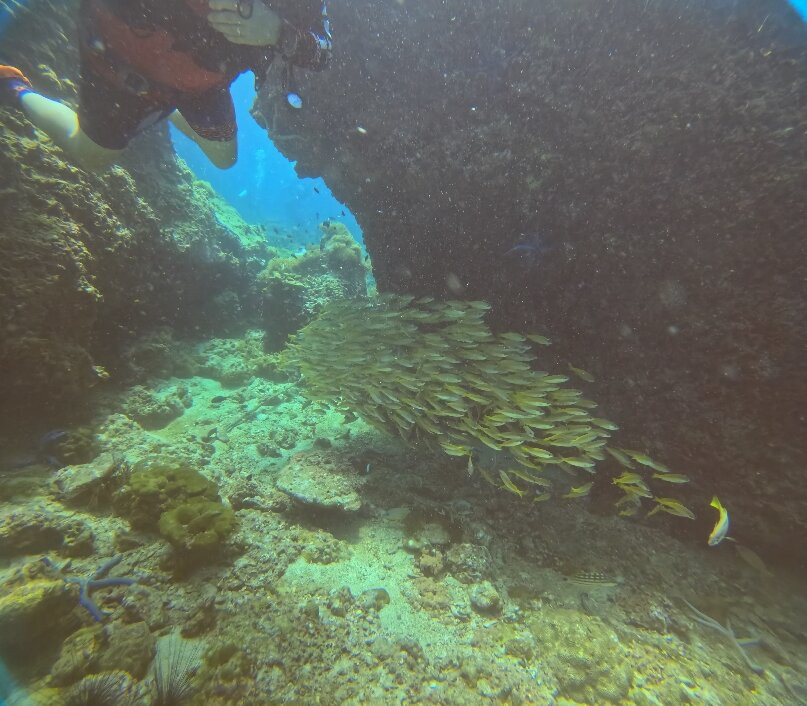 Fast Manta Diving Krabi-奥南必去景点