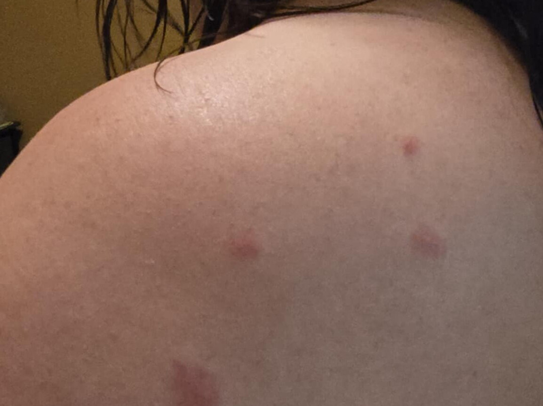 Best Western Cedar Inn主图