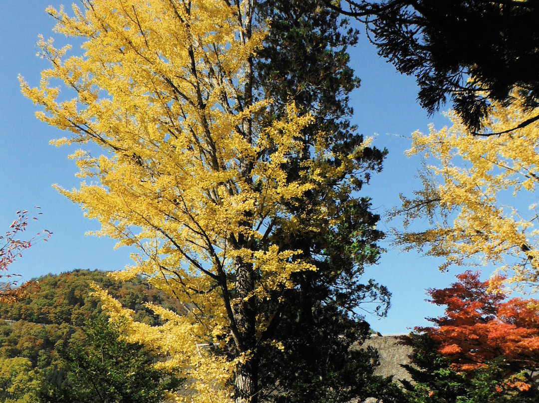 Shirakawa Hachiman Shrine-白川村必去景点