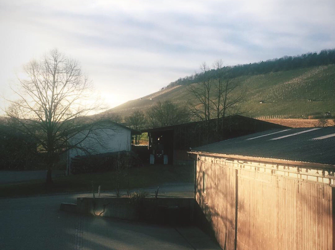 Weingut Sonnenhof-Vaihingen an der Enz必去景点