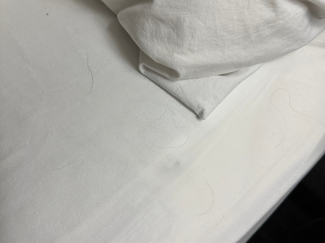 Barkers Island Inn主图