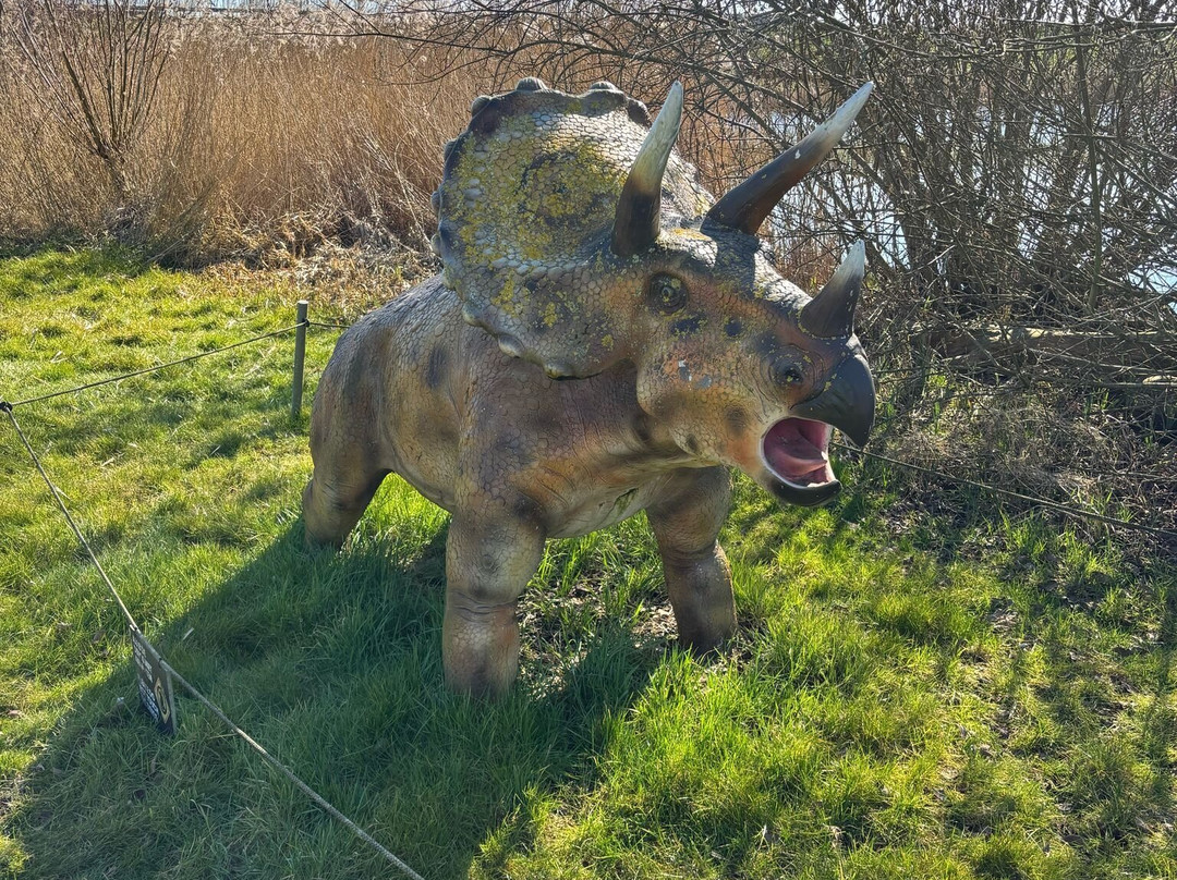 Dino Experience Park-高德必去景点
