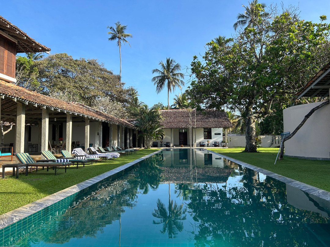 树的弗兰吉帕尼酒店主图