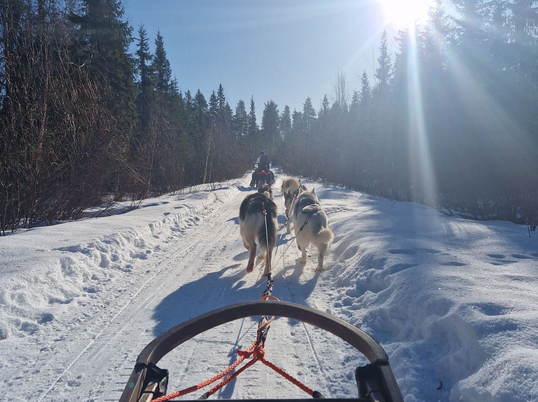Pure Lapland-罗瓦涅米必去景点