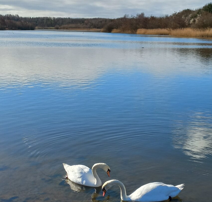 Premier Inn Ashington Hotel主图