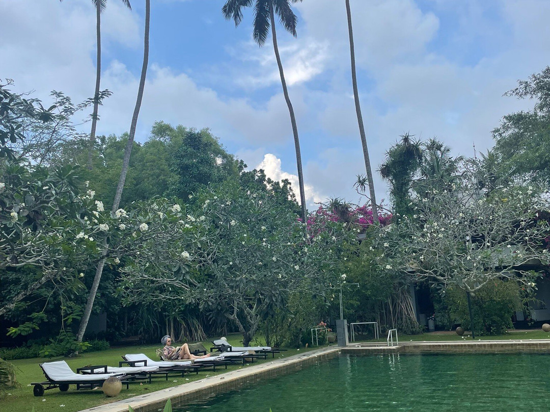 One World Foundation主图