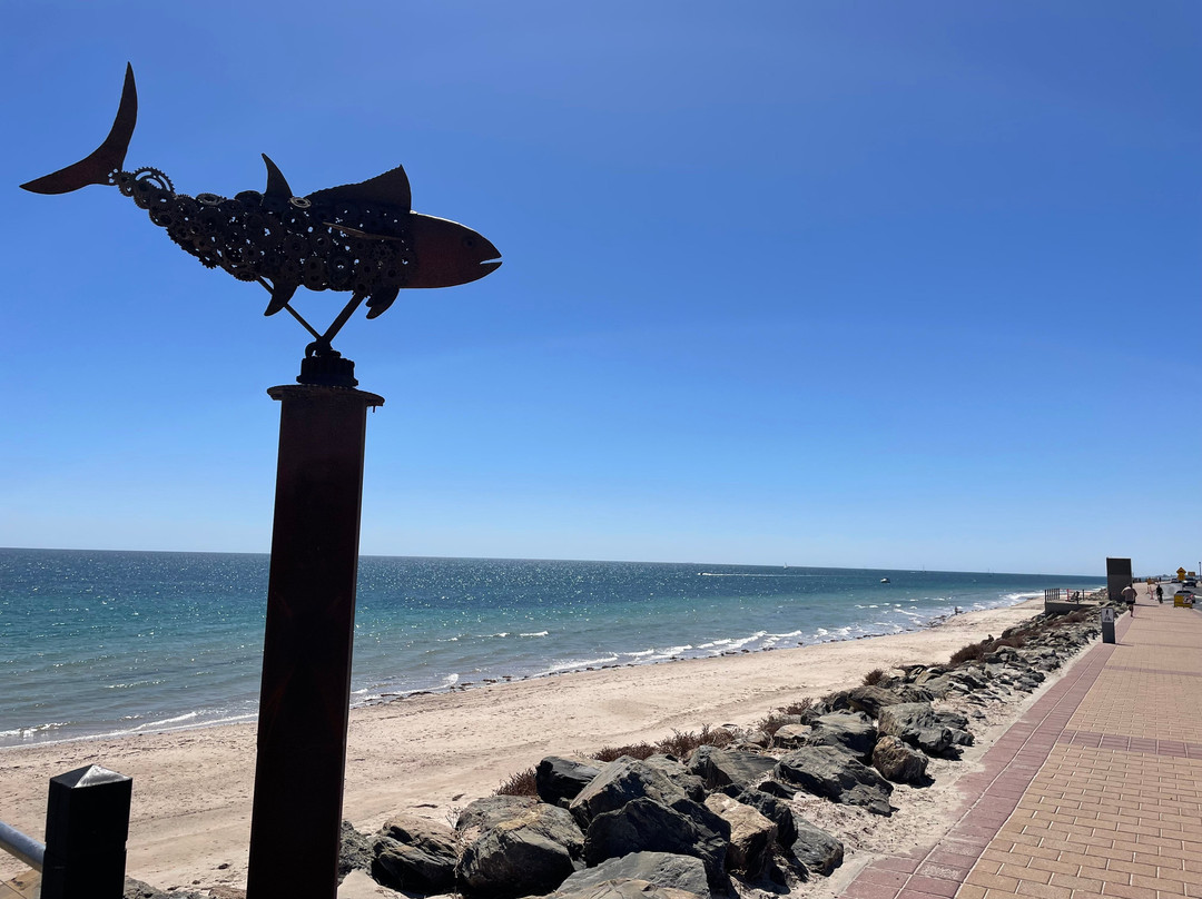 Glenelg - Seacliff Coastal Walking Trail-格莱内尔格必去景点
