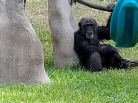 Passin Miami-迈阿密海滩必去景点