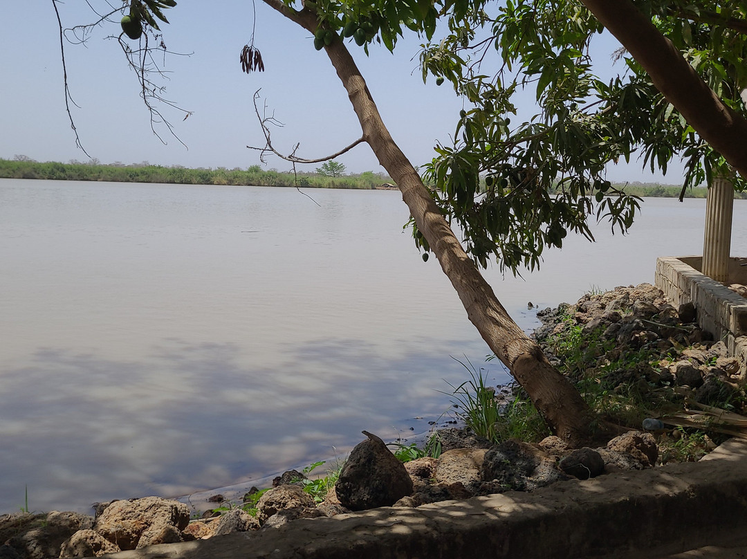 Kairoh Garden Kuntaur主图