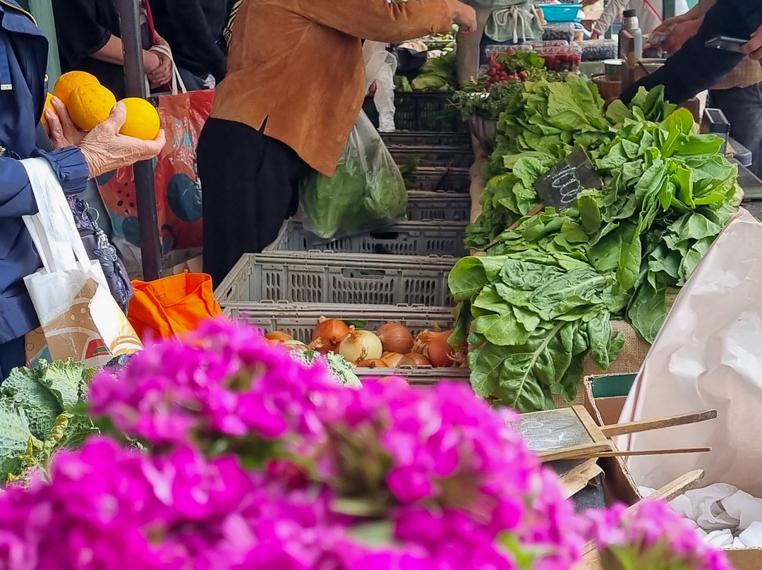 Ecoferia-圣地亚哥必去景点