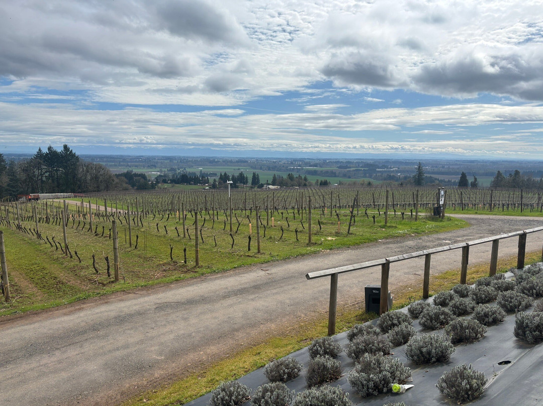 Durant Winery-Dundee必去景点