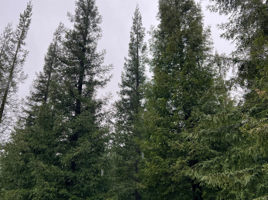 Bosque de Colón-Poio必去景点