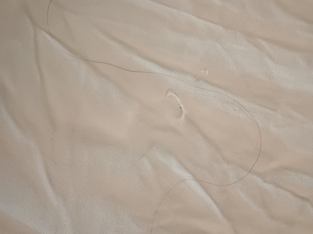 Days Inn By Wyndham Brooksville Dade City主图