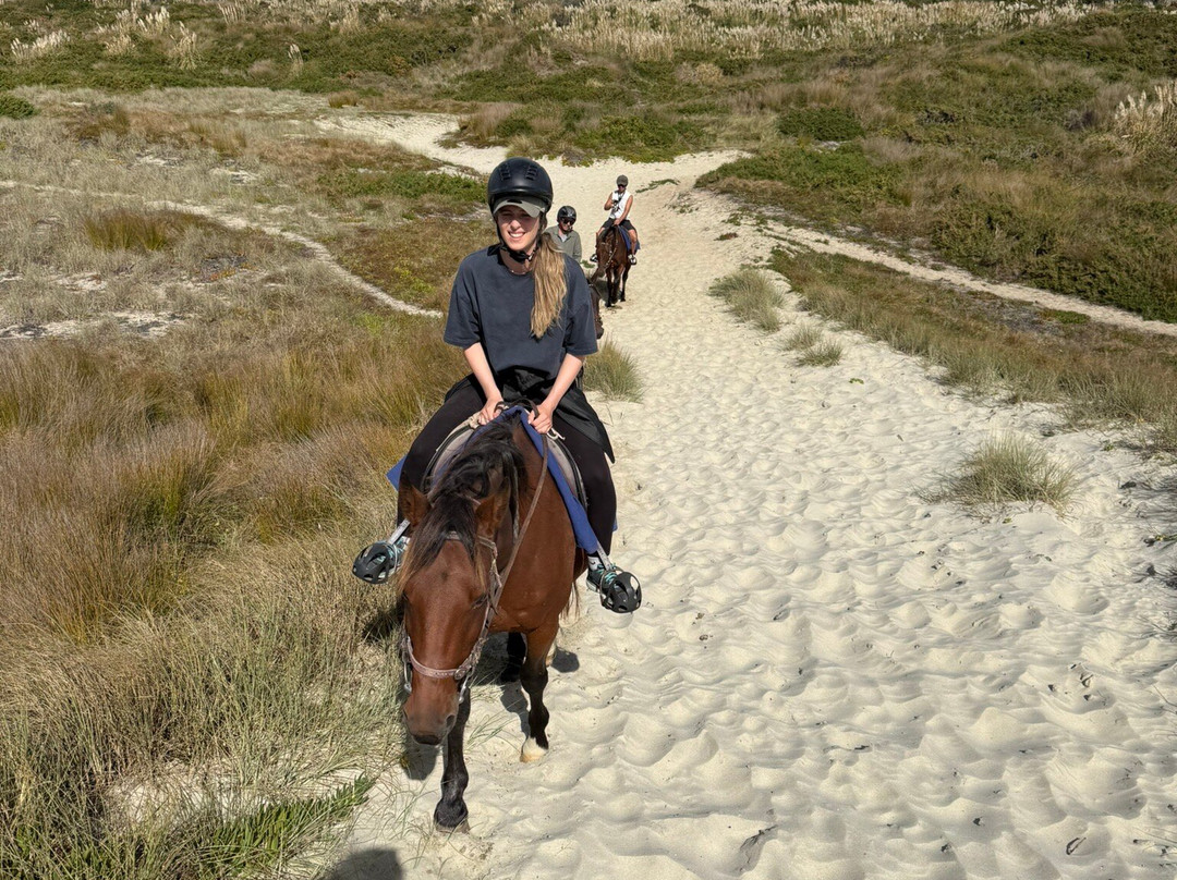 Waipu Horse Adventures-璜加雷必去景点