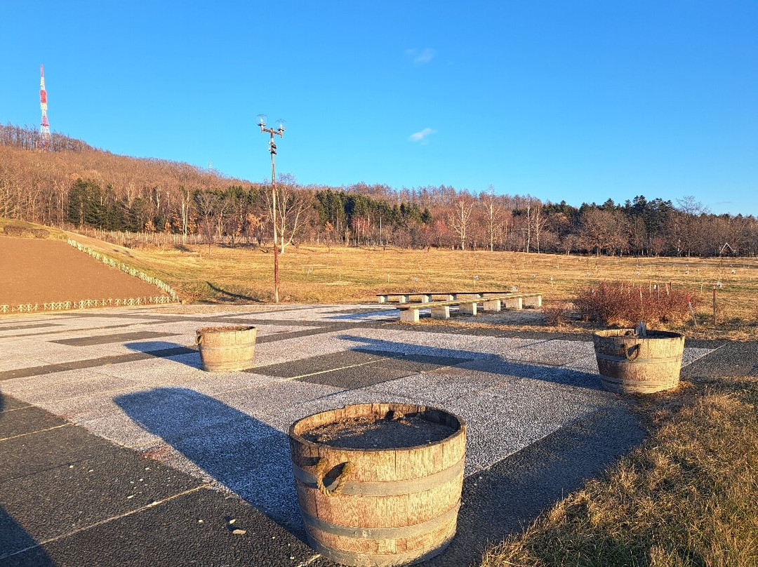 十勝之丘公園-音更町必去景点
