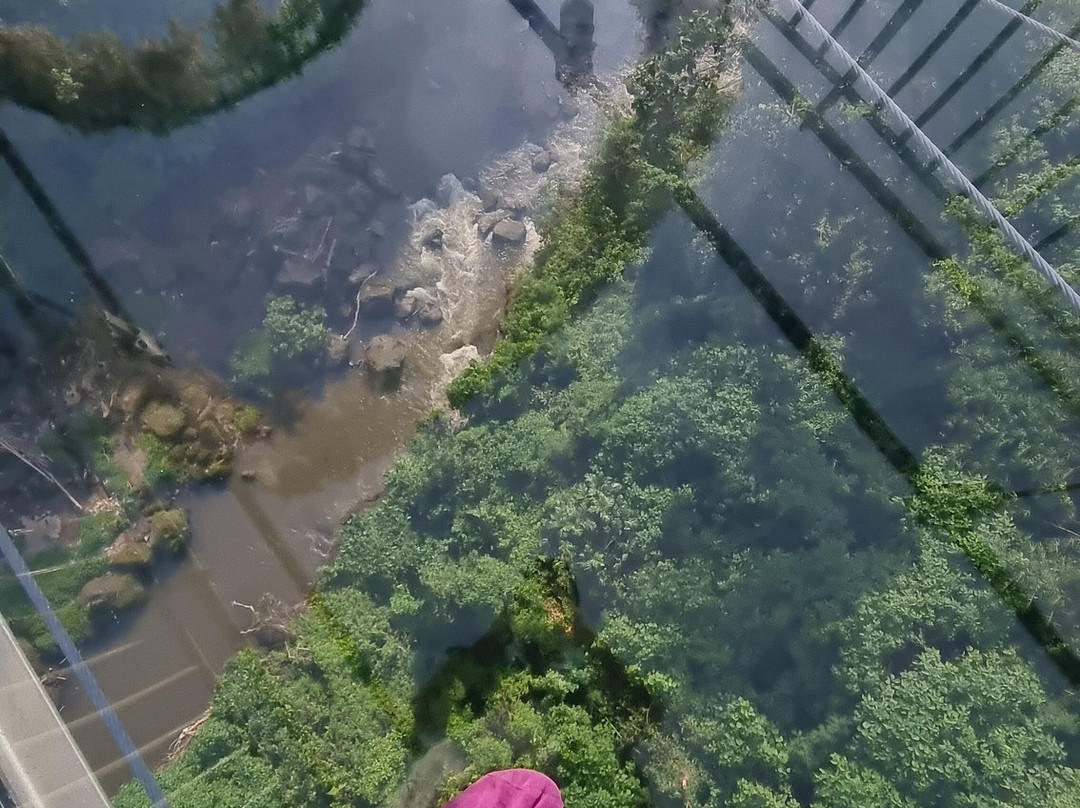 Glass Bridge Bali-Kemenuh必去景点