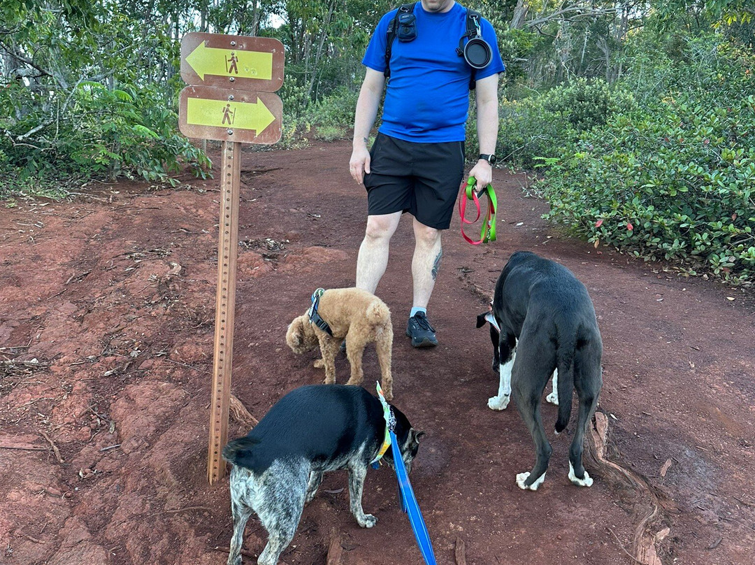 Waimano Ridge Trail-珍珠市必去景点
