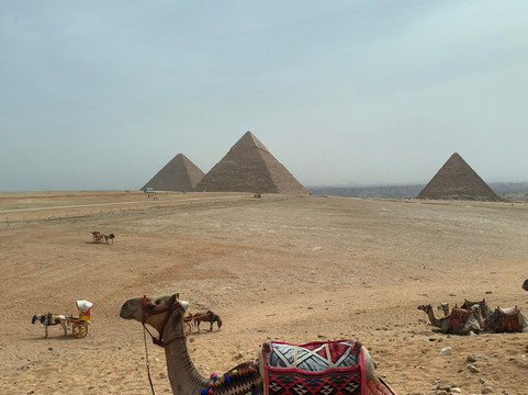 Happy Pharaoh Tours-卢克索必去景点