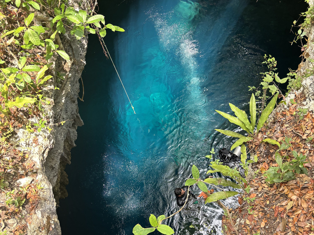 Freedivinglife Riviera Maya-普拉亚德尔卡曼必去景点