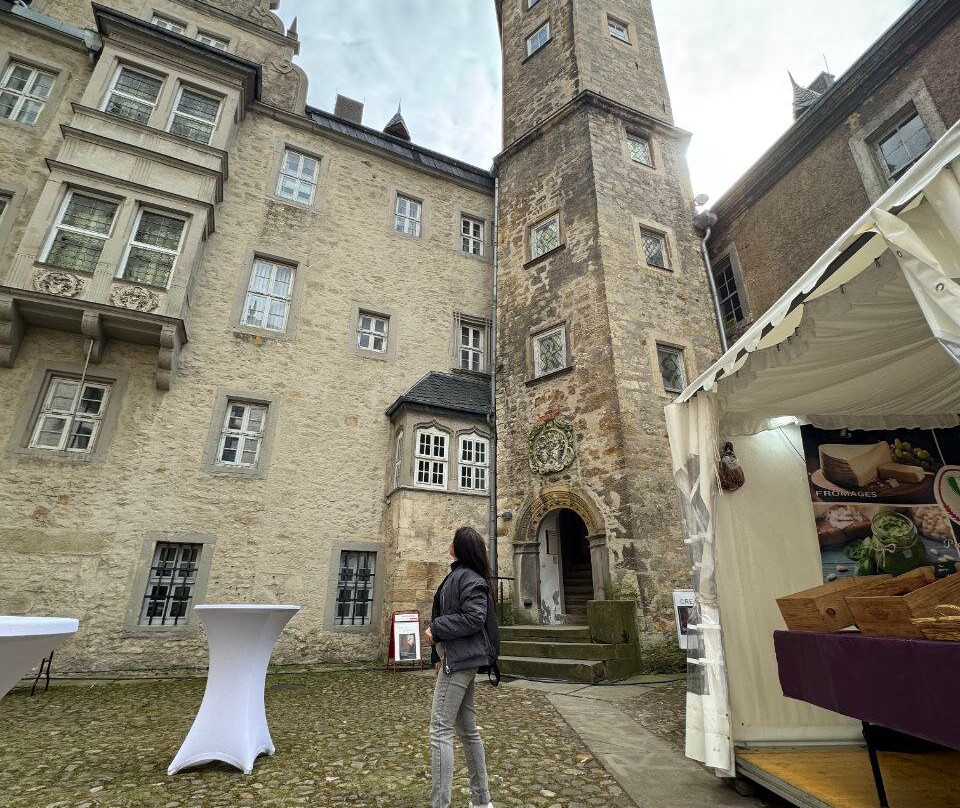 Schloss Wolfsburg景点图片