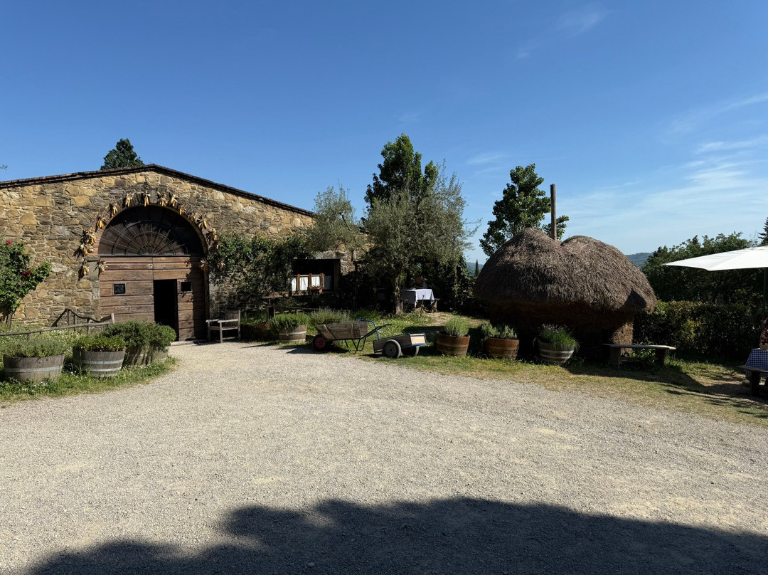 Fattoria La Vialla景点图片