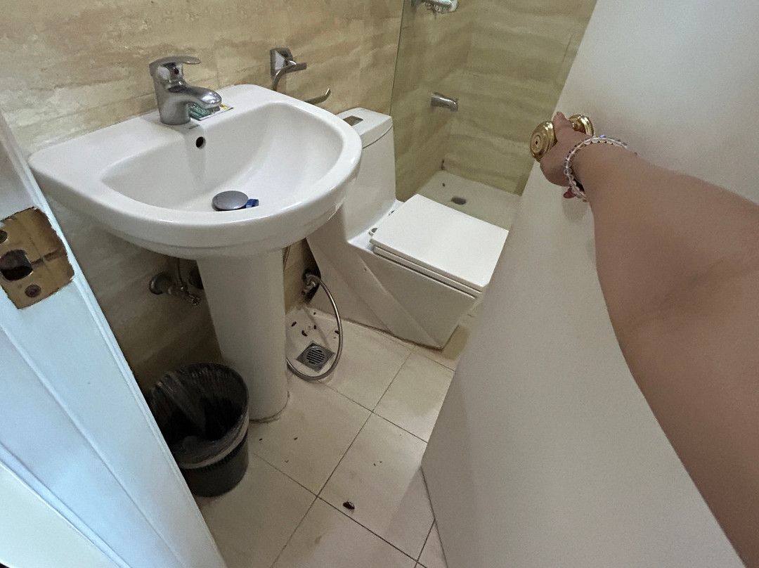 BSA双子塔酒店主图