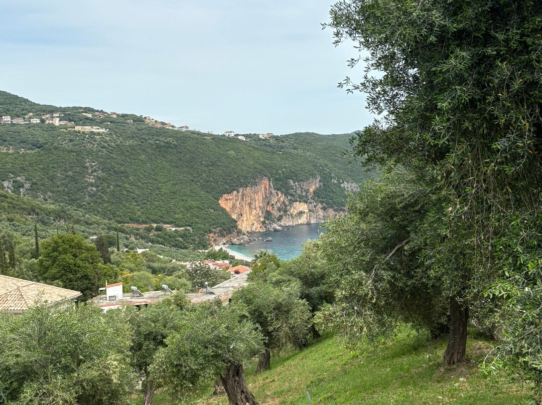 Tsanis