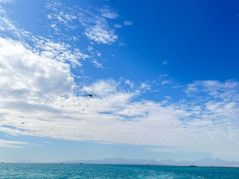 Toury-赫尔格达必去景点