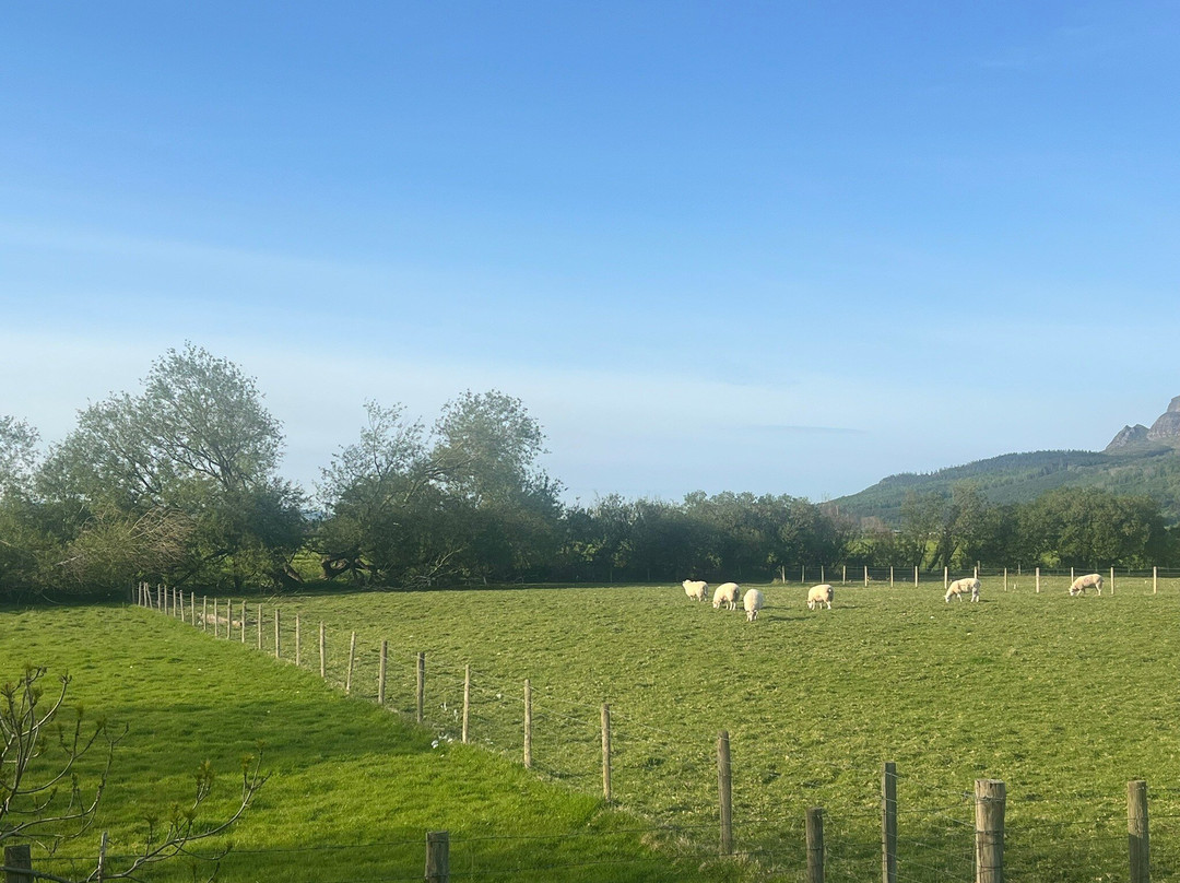 The Willows Self Catering Studios & Bed And Breakfast主图