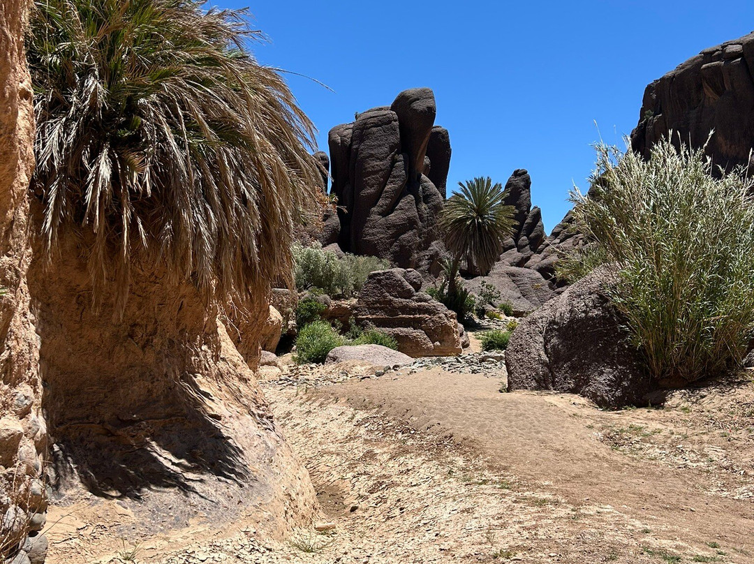 Escale Rando Taliouine - chambres d'hotes主图