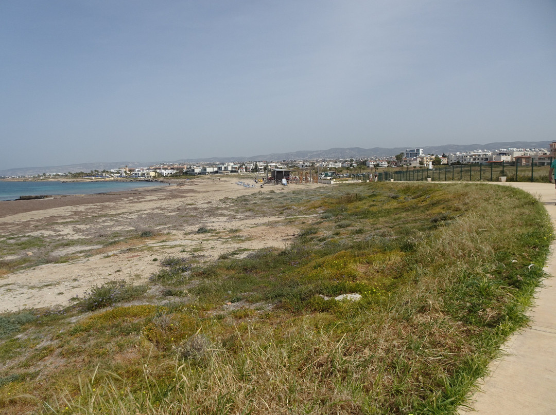 Paphos Harbour and Port景点图片