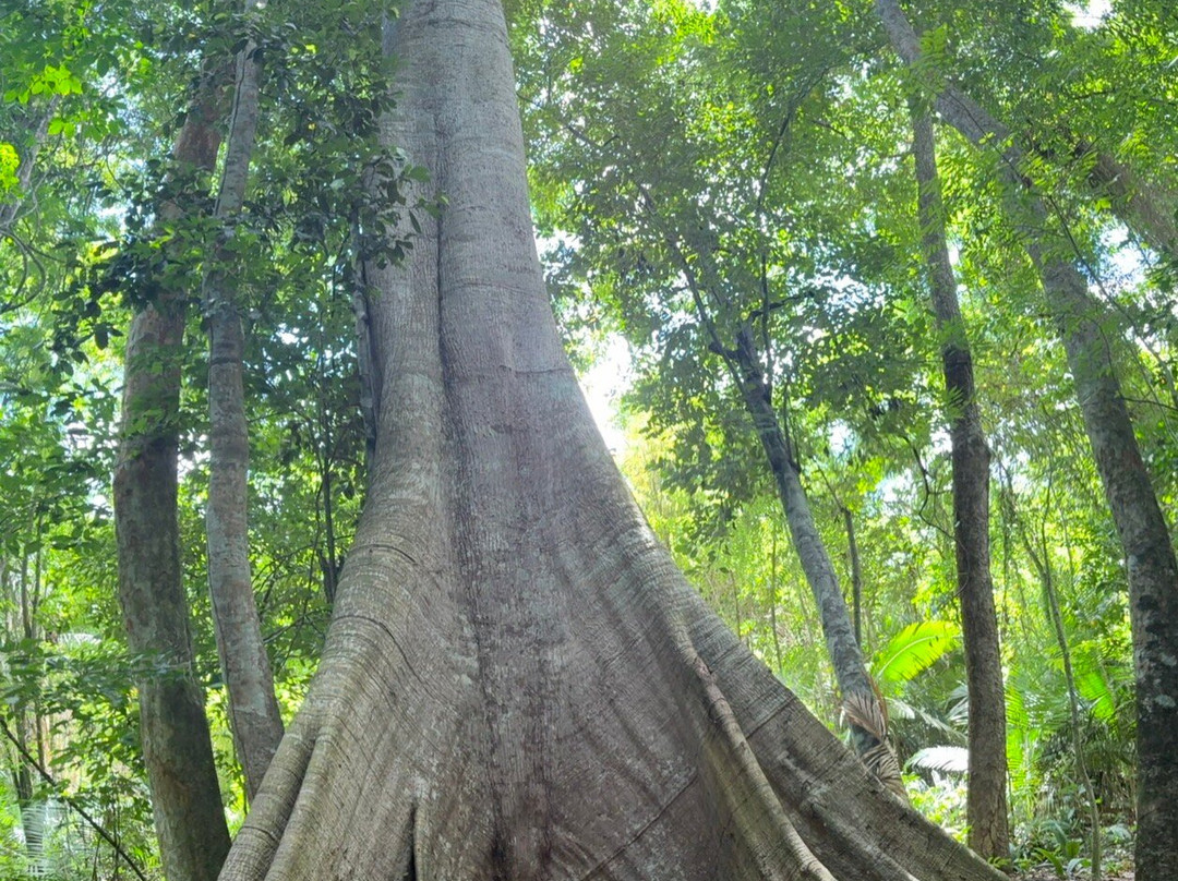 Santarém Viagens e Turismo-Santarem必去景点
