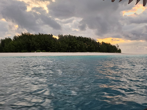 Sonnen - Blumen Tours And Safari